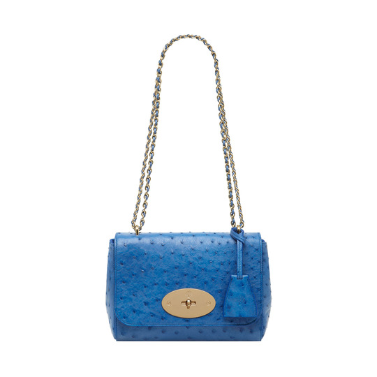Mulberry Lily Bluebell Blue Ostrich - Click Image to Close